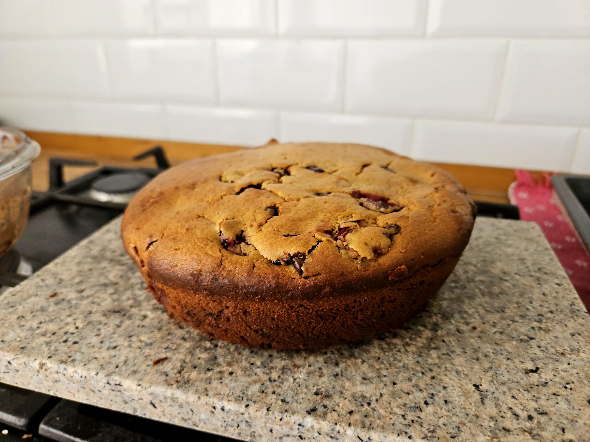 Blueberry Chocolate Chip Fluffy Cake